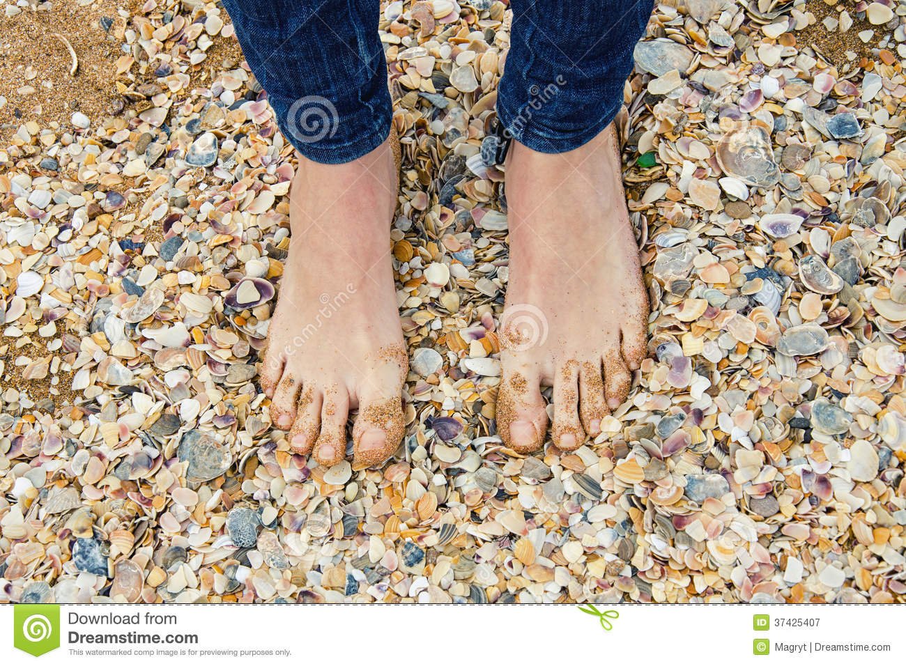 female-feet-beach-full-shells-covered-sand-37425407617488742918116990 ...