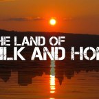 Nola Raindrops and Milk & Honey